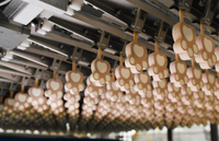 //iqrorwxhqqoolr5p.ldycdn.com/cloud/lmBppKrllnSRilpipqqijq/What-Are-The-Key-Benefits-of-Using-Ice-Cream-Extrusion-Equipment.jpg